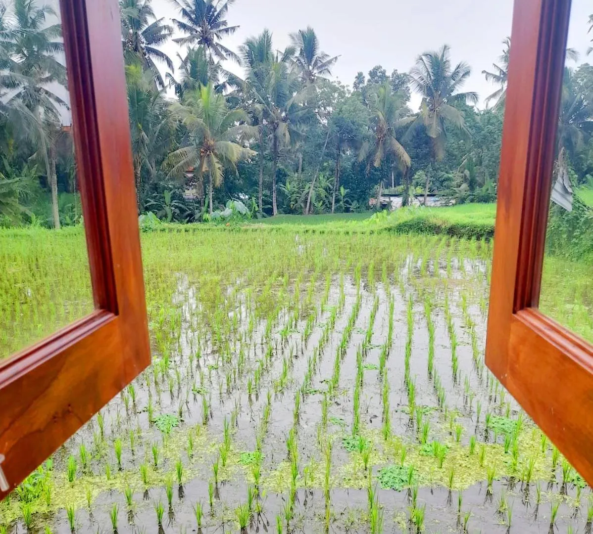 As I Am Ubud Retreat Hotel
