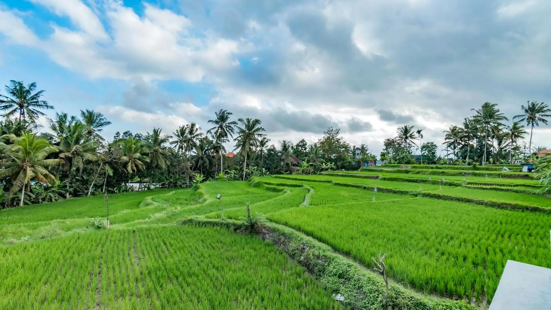 Hotel As I Am Ubud Retreat